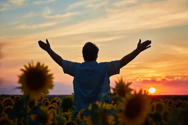 Silhouet Van Gelukkige Succesvolle Maïsboer Maïsveld Bij Zonsondergang Met Opgeheven — Stockfoto