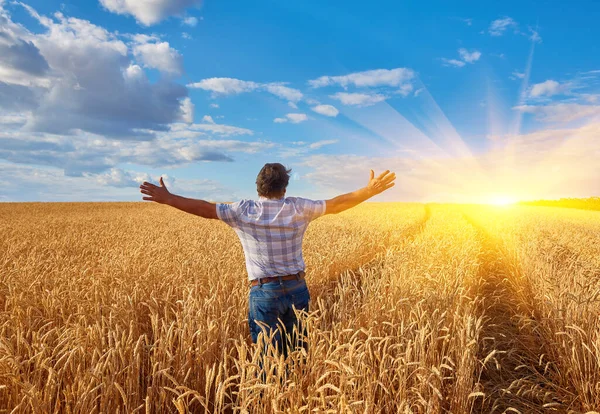 Bauer Steht Auf Einem Weizenfeld Und Betrachtet Die Ernte — Stockfoto