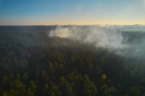 Burning Forest Fire Smoke Forest Fire Aerial Top View Drone — Stockfoto