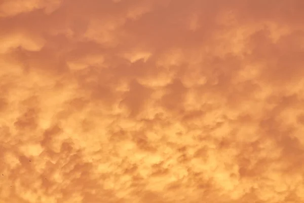 Cloudscape Cumulus Sunset Clouds Sunlight — Foto de Stock