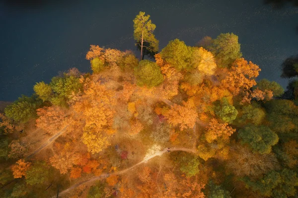 Drone View River Flowing Beautiful Autumn Forest — Stock Photo, Image