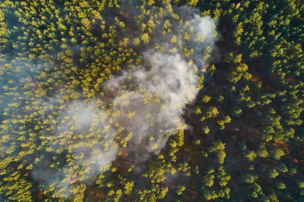 Aerial Drone View Wildfire Forested Area — Stockfoto