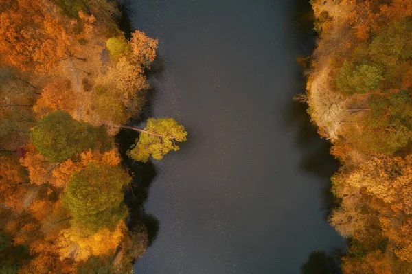 Autumn Trees River Bank Aerial Drone View — Stock Photo, Image