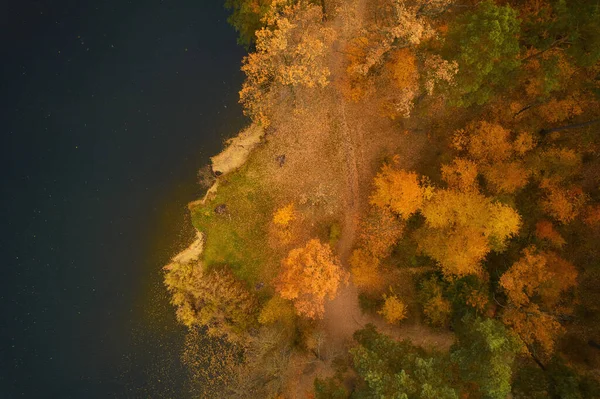 Drone View River Flowing Beautiful Autumn Forest — Stock Photo, Image