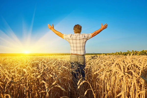 Ein Erwachsener Mann Auf Einem Feld Zwischen Reifem Getreide Und — Stockfoto