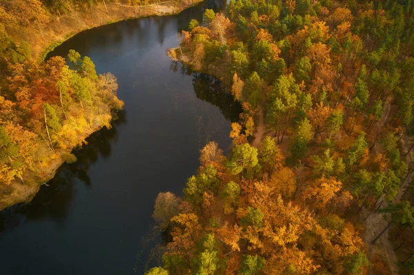 Drone View River Flowing Beautiful Autumn Forest — Foto Stock