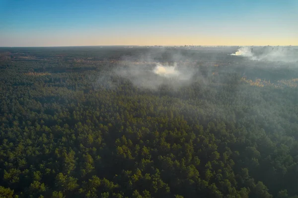 Strong Fire Empty Forest Fire Spreads United Front Strong Smoke — Stockfoto