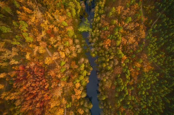 Πολύχρωμα Φθινοπωρινά Χρώματα Δασική Μορφή Από Πάνω Που Συλλαμβάνονται Drone — Φωτογραφία Αρχείου