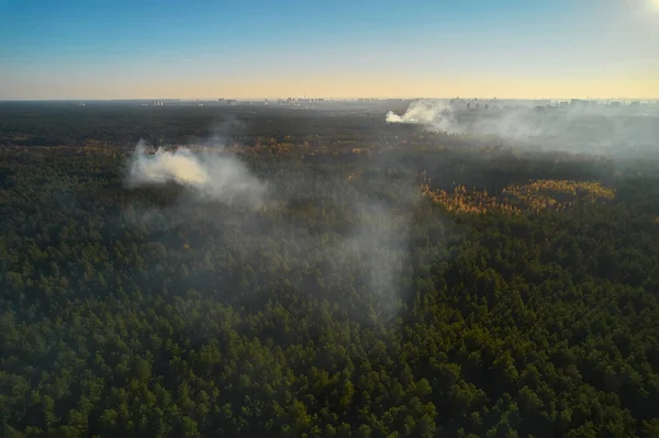 Aerial Drone View Wildfire Forested Area — Stockfoto
