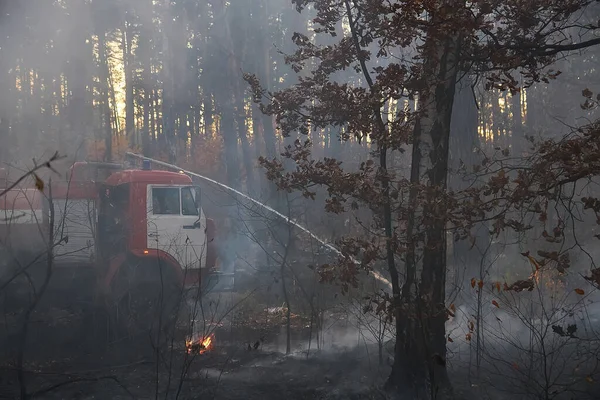 Water cannon of a fire engine shooting a high-velocity stream of water, firemen fighting fire in forest. Kyiv region, Ukraine