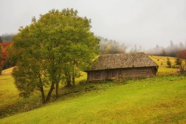 Renkli sonbahar manzara dağ köyünde. Karpat Dağları sisli sabah. Ukrayna, Europe.