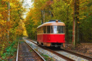 Tramvay yolcu ile şehirde otobüs durağındaki sabahın erken saatlerinde yola. Yönlendirme güzel sonbahar orman yolu