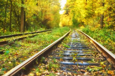Terk edilmiş tren sonbahar renkli ağaçlar altında. Aşk tüneli. Arka plan bulanık