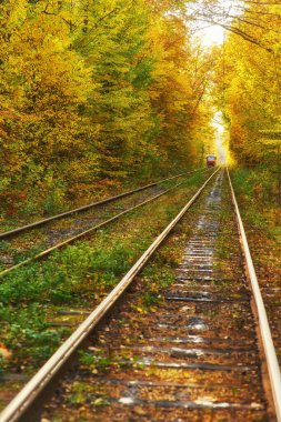 Yönlendirme sonbahar orman yolu boyunca kırmızı retro tramvay gider