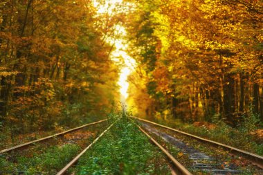 Terk edilmiş tren sonbahar renkli ağaçlar altında. Aşk tüneli. Arka plan bulanık