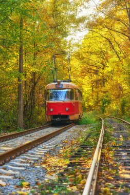 Tramvay yolcu ile şehirde otobüs durağındaki sabahın erken saatlerinde yola. Yönlendirme güzel sonbahar orman yolu