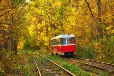Tramvay yolcu ile şehirde otobüs durağındaki sabahın erken saatlerinde yola. Yönlendirme güzel sonbahar orman yolu