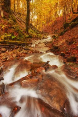 hızlı dağ nehir Güz. Derma ahşap arka plan