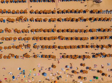 Drone aerial of beach umbrellas in the beach. Summer holidays in the sea