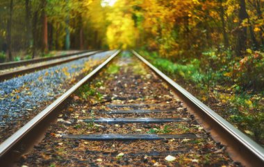 Terk edilmiş tren sonbahar renkli ağaçlar altında. Aşk tüneli. Arka plan bulanık