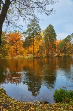 Picturesque autumn landscape with yellow trees over the river and reflection of trees in the water on a sunny day. Golden autumn
