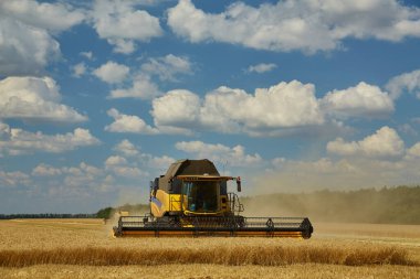 Hasat Makinesi Kesme Buğday, Bulutlar ile mavi gökyüzü altında sonsuz Alanlar Yaz Manzara birleştirin