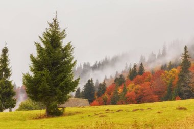 sis ve saman ile inanılmaz dağ manzarası