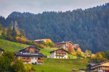İtalya. Dolomites. Sonbahar yatay, parlak renkler, ev ve Karaçam ağaçlar yumuşak güneş ışığı altında.