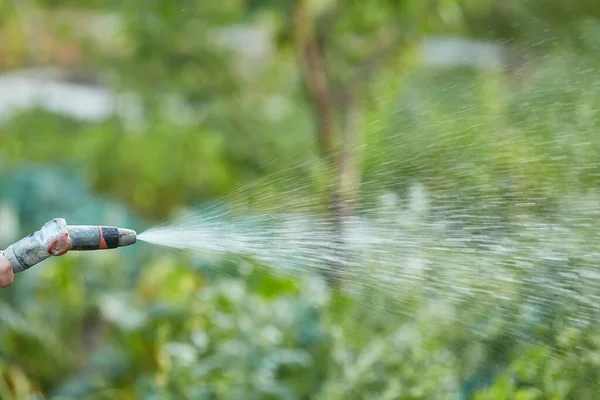 Drinkinstallaties Tuin Apparatuur Hand Houdt Sprinkler Slang Voor Irrigatie Installaties — Stockfoto