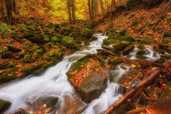 Быстрая Река Осенью Цветной Фон Дерева — стоковое фото
