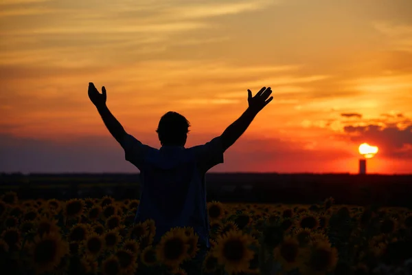 Silhouette Happy Successful Corn Farmer Cornfield Sunset Arms Raised Air — Stock Photo, Image