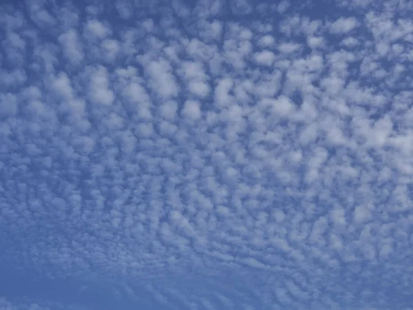 Blue Sky Background Clouds Curly Clouds All Sky — Foto de Stock