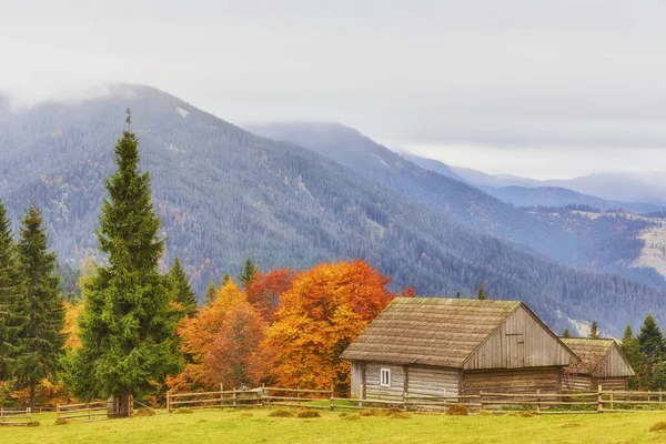 Barevné Podzimní Krajina Horské Vesničce Mlhavé Ráno Karpatských Horách Ukrajina — Stock fotografie