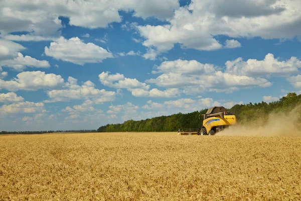 Combine Harvester Working Wheat Field Seasonal Harvesting Wheat Agriculture — Stock Photo, Image