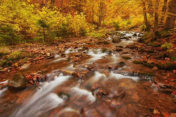 Szybkiego Górskiej Rzece Jesienią Colorfull Drewna Tło — Zdjęcie stockowe