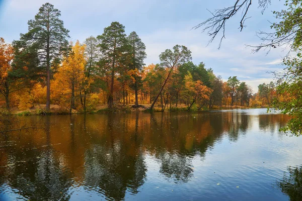 Paisagem Pitoresca Outono Com Árvores Amarelas Sobre Rio Reflexão Árvores — Fotografia de Stock