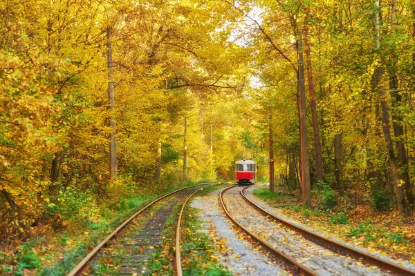 Yönlendirme Sonbahar Orman Yolu Boyunca Kırmızı Retro Tramvay Gider — Stok fotoğraf