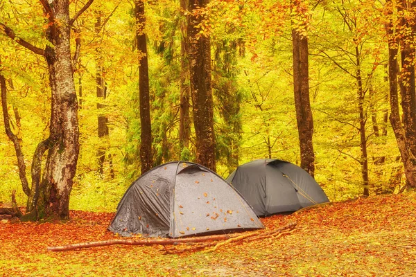 Campamento Turístico Bosque Otoñal Con Follaje Rojo Amarillo Paisaje Otoñal — Foto de Stock