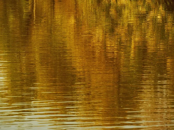 Autumn Landscape Colorful Forest Solar Amber Paysage Indian Summer Landscape — Stock Photo, Image