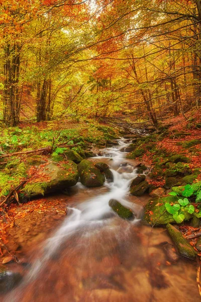 Rápido Río Montaña Otoño Fondo Madera Colorida — Foto de Stock