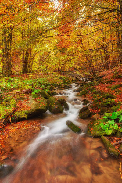 rapid mountain river in autumn. Colorfull wood background