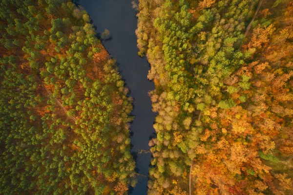 Drone View River Flowing Beautiful Autumn Forest — Stock Photo, Image