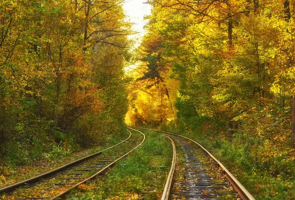 Abandoned Railway Autumn Colored Trees Tunnel Golden Leafs Falling — Stock Photo, Image