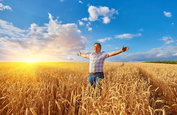 Hombre Adulto Campo Cultivo Entre Cereales Maduros Levantó Los Brazos —  Fotos de Stock