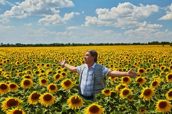 ひまわり畑でウクライナの農民を成功させました 老人は静かな空を背景に畑で立って笑っている ウクライナ — ストック写真