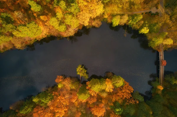 Aerial View Autumn Park Lake Small Wooden Bridge Walking Autumn — Stock Photo, Image