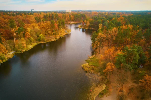 Drone View River Flowing Beautiful Autumn Forest — 图库照片