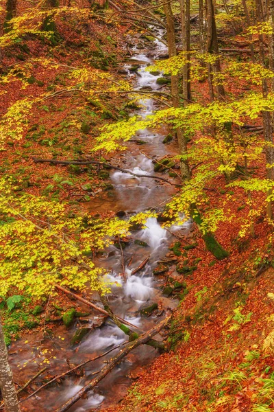 Belle Cascade Rivière Montagne Dans Une Forêt Automne Colorée Avec — Photo