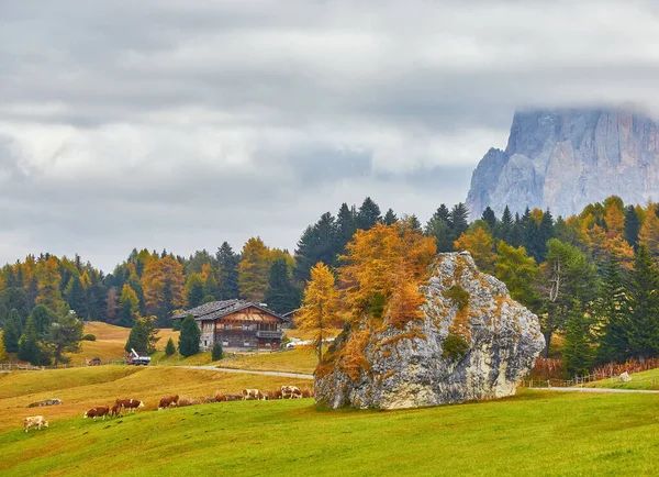 Italien Dolomiten Herbstlandschaft Mit Leuchtenden Farben Haus Und Lärchen Sanften — Stockfoto