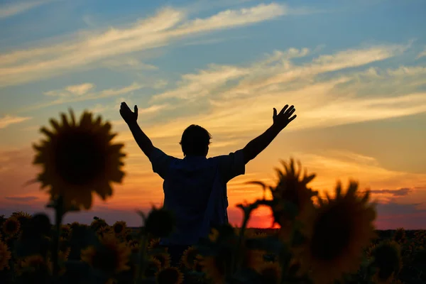 Succesvolle Oekraïense Boer Een Zonnebloemenveld Senior Boer Man Staat Lacht — Stockfoto